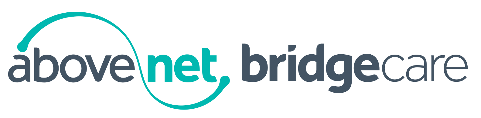 Bridgecare Above-Net